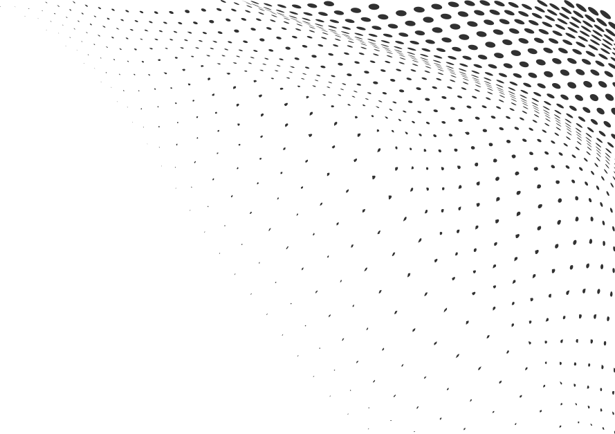 Yorkshire Terriers A Love Story In Small Packages MyLifeMyDog