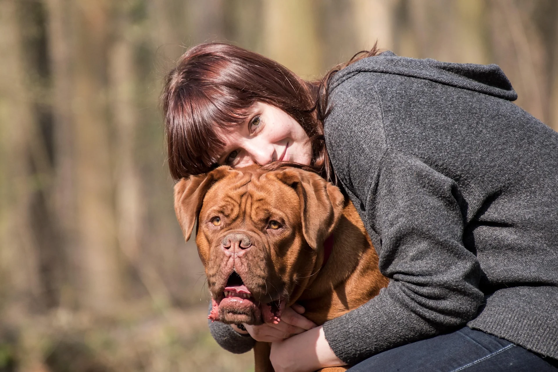 Neopolitan Mastiff with owner